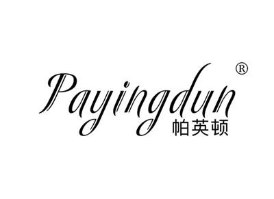 帕英顿PAYINGDUN