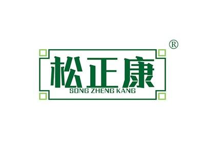 松正康SONGZHENGKANG