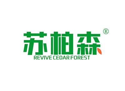 苏柏森REVIVECEDARFOREST