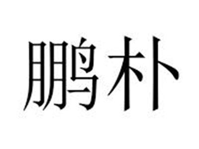 鹏朴