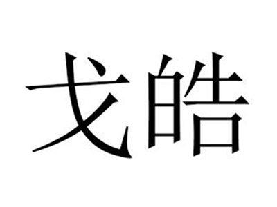 戈皓