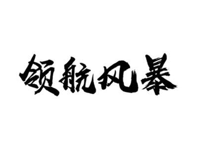 领航风暴