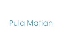 PULAMATIAN