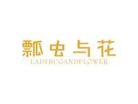 瓢虫与花LADYBUGANDFLOWER