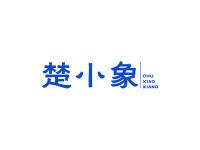楚小象