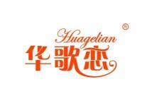 华歌恋
