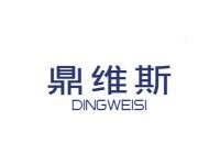 鼎维斯