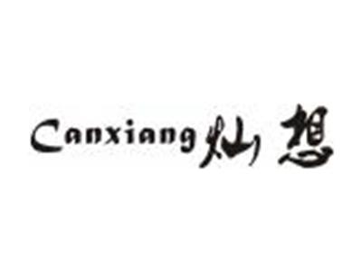 灿想
