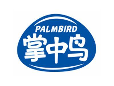 掌中鸟PALMBIRD