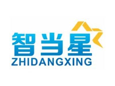 智当星ZHIDANGXING10 21类同名