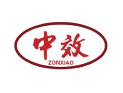 中效ZONXIAO