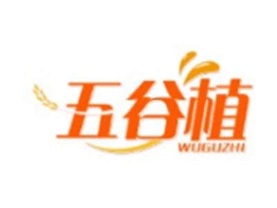 五谷植WUGUZHI29 30类同名