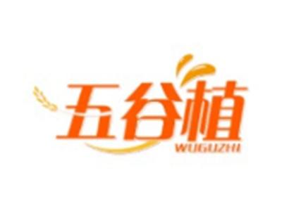 五谷植WUGUZHI29 30类同名