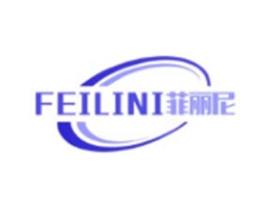 菲丽尼FEILINI20 11类同名