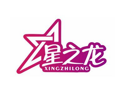 星之龙XINGZHILONG