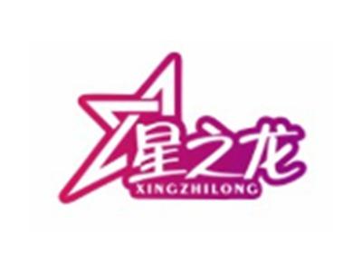星之龙XINGZHILONG24 20 16类同名