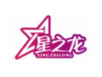 星之龙XINGZHILONG24 20 16类同名