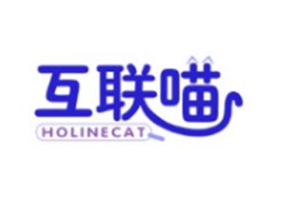 互联喵HOLINECAT21 11类同名