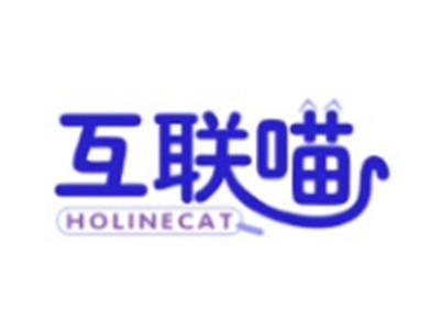 互联喵HOLINECAT21 11类同名