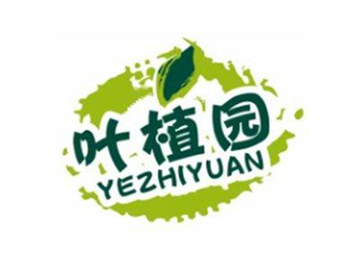 叶植园YEZHIYUAN