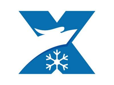 纯图形（X雪花）