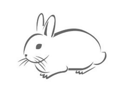 兔子图形