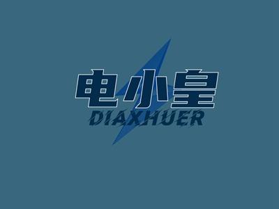 电小皇DIAXHUER