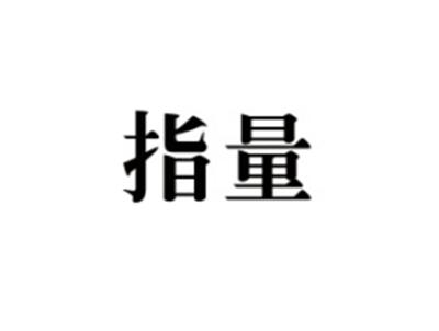 指量