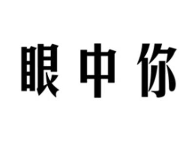 眼中你