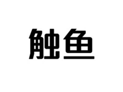 触鱼