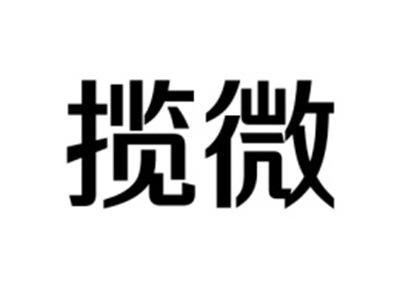 揽微