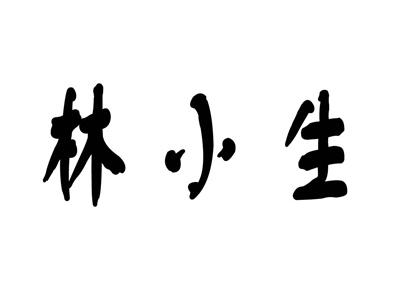 林小生