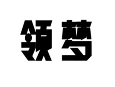 领梦
