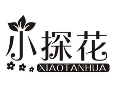 小探花