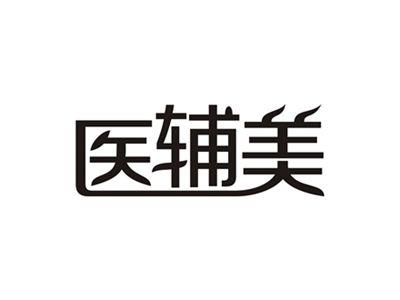 医辅美