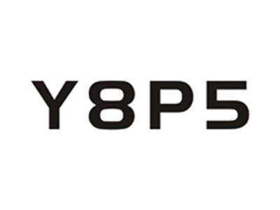 Y8P5