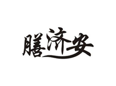膳济安