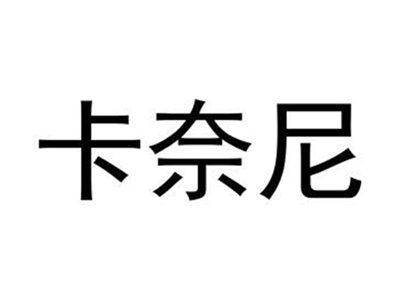 卡奈尼