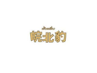皖北豹WANBEIBAO+图形