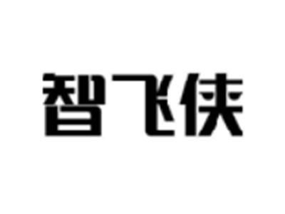 智飞侠