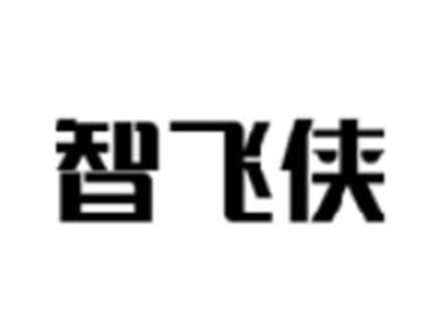 智飞侠