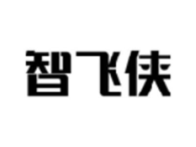 智飞侠