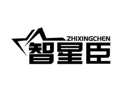 智星臣