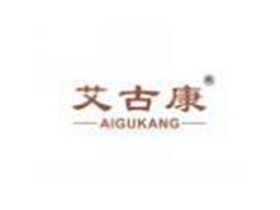 艾古康AIGUKANG