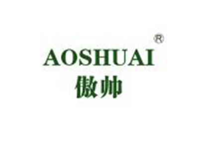 傲帅