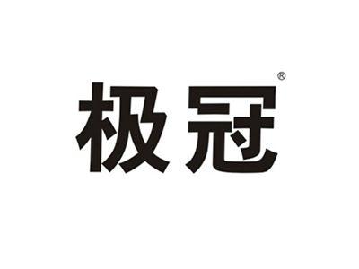 极冠