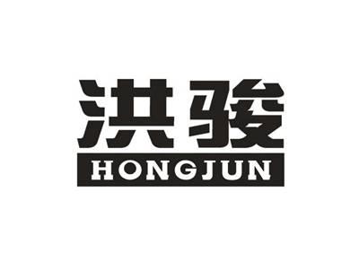 洪骏