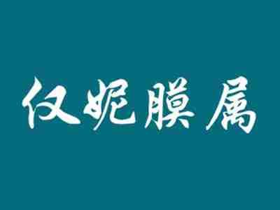 仅妮膜属