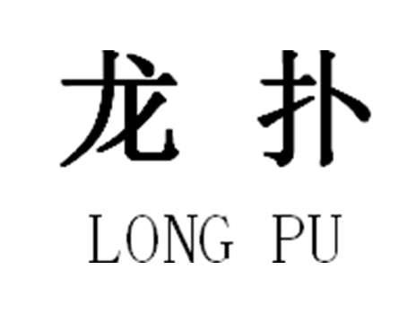 龙扑