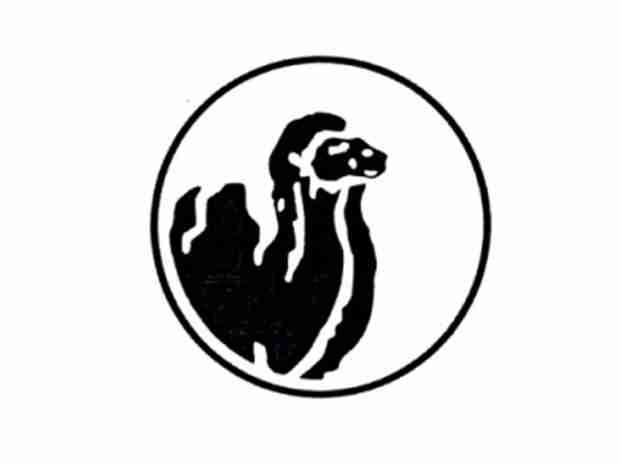 骆驼